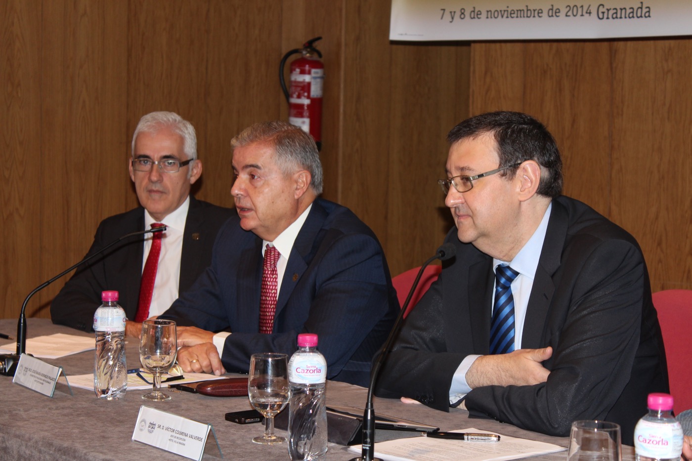 Congreso AEJR en Granada, 2014 · fotografía 2
