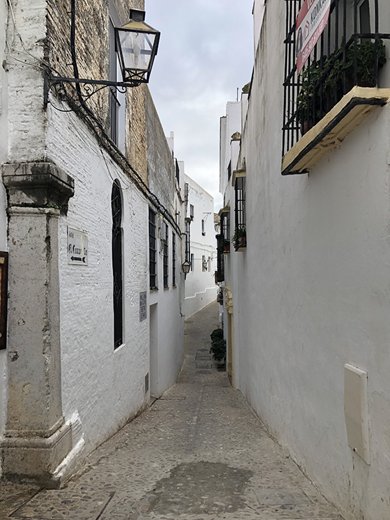 XV Congreso AEJR en Cádiz, 2018 · imagen 14