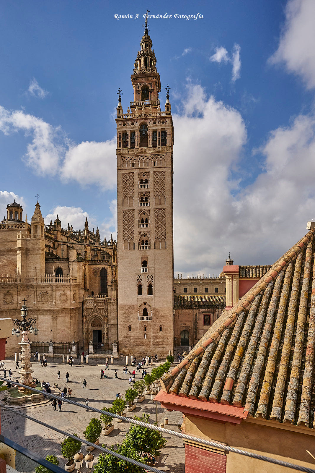 XVII Congreso AEJR en Sevilla, 2021 · imagen 20