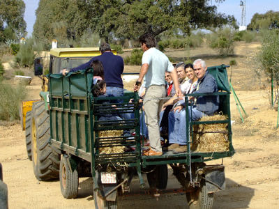 V Congreso AEJR en Sevilla, 2007 · imagen 9
